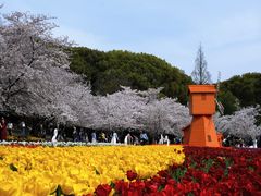 -苏州上方山国家森林公园