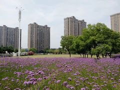 -杭州城北体育公园