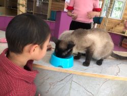 -萌宠亲子动物乐园(槐房万达店)