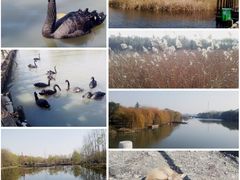 NA201311301327080015-53-810000-溱湖国家湿地公园