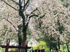 -西安青龙寺遗址景区
