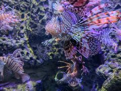 -太平洋海底世界