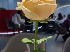 -鑫悦诚府·新鲁菜·餐厅(趵突泉店)