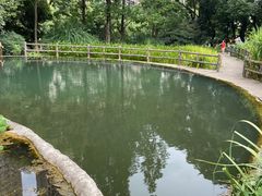 -成都市活水公园