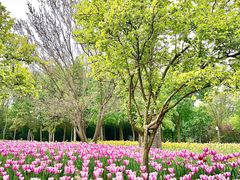 -郑州中国绿化博览园