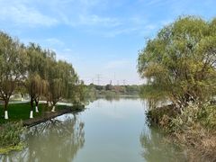 -九里河湿地公园