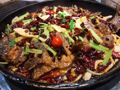 -老板恋上鱼(恒隆广场店)