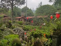 -青城甲(青城山店)