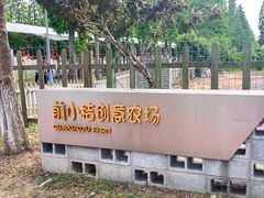 -前小桔亲子创意农场·草莓采摘·露营烧烤