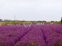 -嘉北郊野公园
