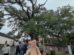 -新安江山水画廊风景区