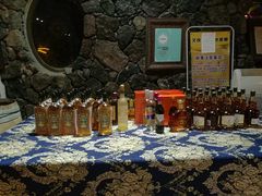 -文成城堡