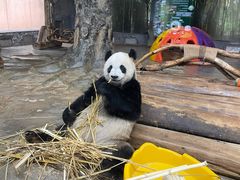 -海南热带野生动植物园