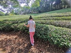 -敬亭山风景名胜区