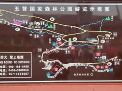 -五营红松林海景区