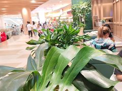 -楚山晓·楚湘菜(江夏永旺店)