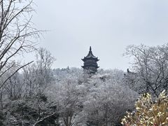 -牛首山文化旅游区