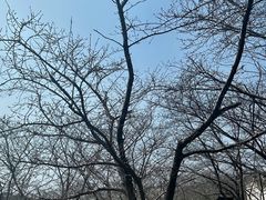 -苏州上方山国家森林公园