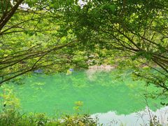 -马仁奇峰