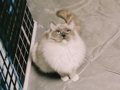 -零纪元VR体验馆·桌游(黄浦店)