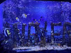 -太平洋海底世界