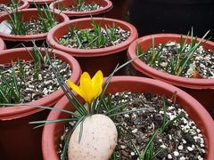 -杭州六谷生态休闲农庄有限公司