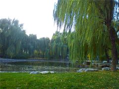 C360_2011-11-12&nbsp;15-49-25_org_副本-玲珑塔公园