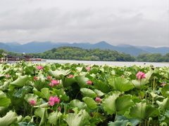 -北山街历史文化街区