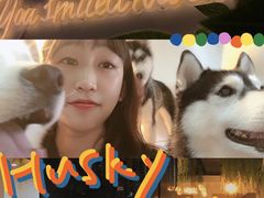 -Husky Go! 哈士奇体验馆·宠物咖啡厅狗咖