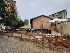 -HERRE·FARM 赫尔露营农场·团建聚会包场