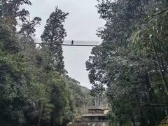 -云南屏边大围山国家公园