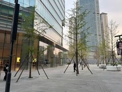 -Apple零售店(华贸购物中心店)