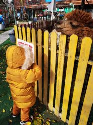 -萌宠亲子动物乐园(槐房万达店)