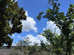 -宁波市保国寺古建筑博物馆