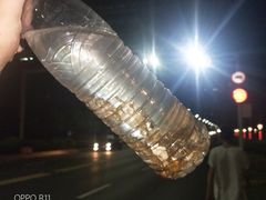 -青岛第三海水浴场