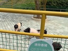-无锡动物园·太湖欢乐园