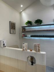 -MONICABOX美甲美睫