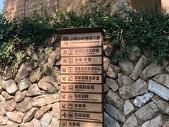 -杨家堂村