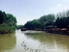 -溱湖国家湿地公园