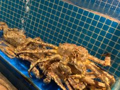 -綱元·海鲜豆捞(明州里店)