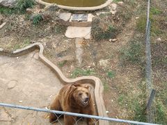 -无锡动物园·太湖欢乐园