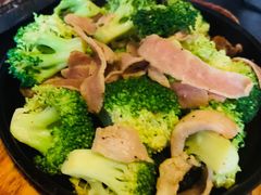 -春草居酒屋·晴子の店