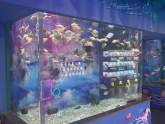 -常州海昌海洋探索馆