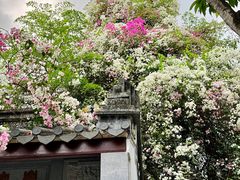 -深圳国际园林花卉博览园