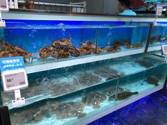 -盒马X会员店(王府井奥莱UP TOWN店)