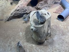 -大连圣亚海洋世界