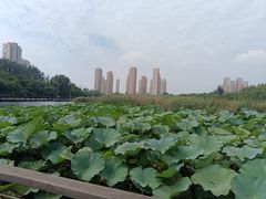 -前关湿地公园