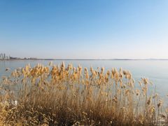 -天津东丽湖风景区