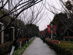 -高东镇樱花园