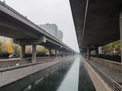 -蔓兰家的四季S0餐厅·融合菜(当代MOMA店)